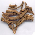 Racine de ginseng de Sibérie